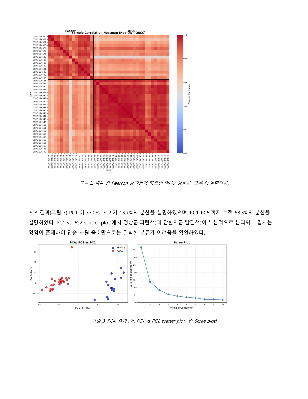 탐구보고서